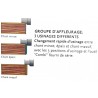 PLAQUEUSE DE CHANT DRESSEURS & GROUPE ARRONDISSEUR - SCM OLIMPIC K360 T