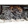 Occasion CHAINE MARINE A MAILLONS RONDS :Gedimo